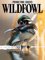 Wildfowl